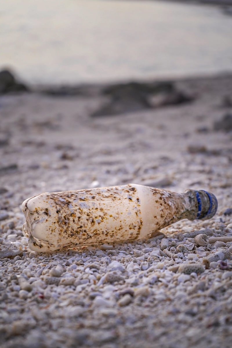 Recycled plastic bottle art